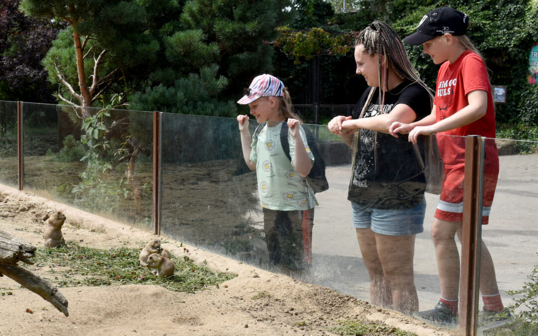 Druhý turnus letních aktivit Brno – ZOO