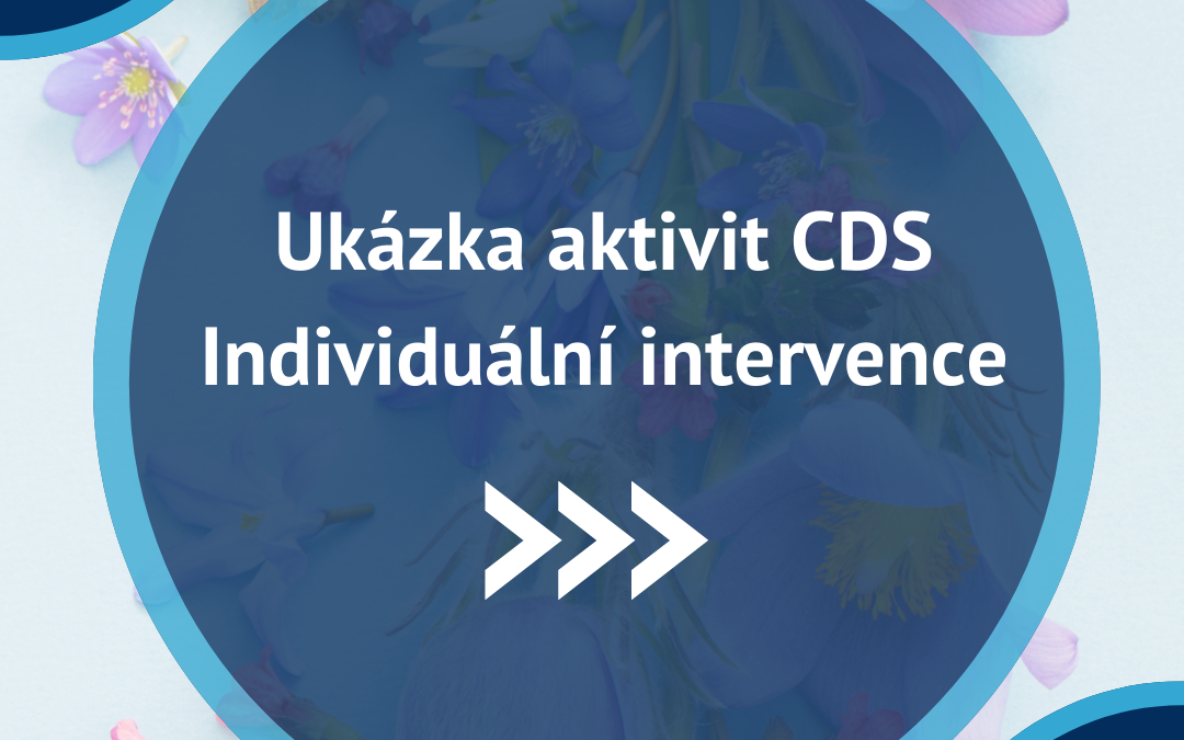 Ukázka aktivit CDS – Individuální intervence