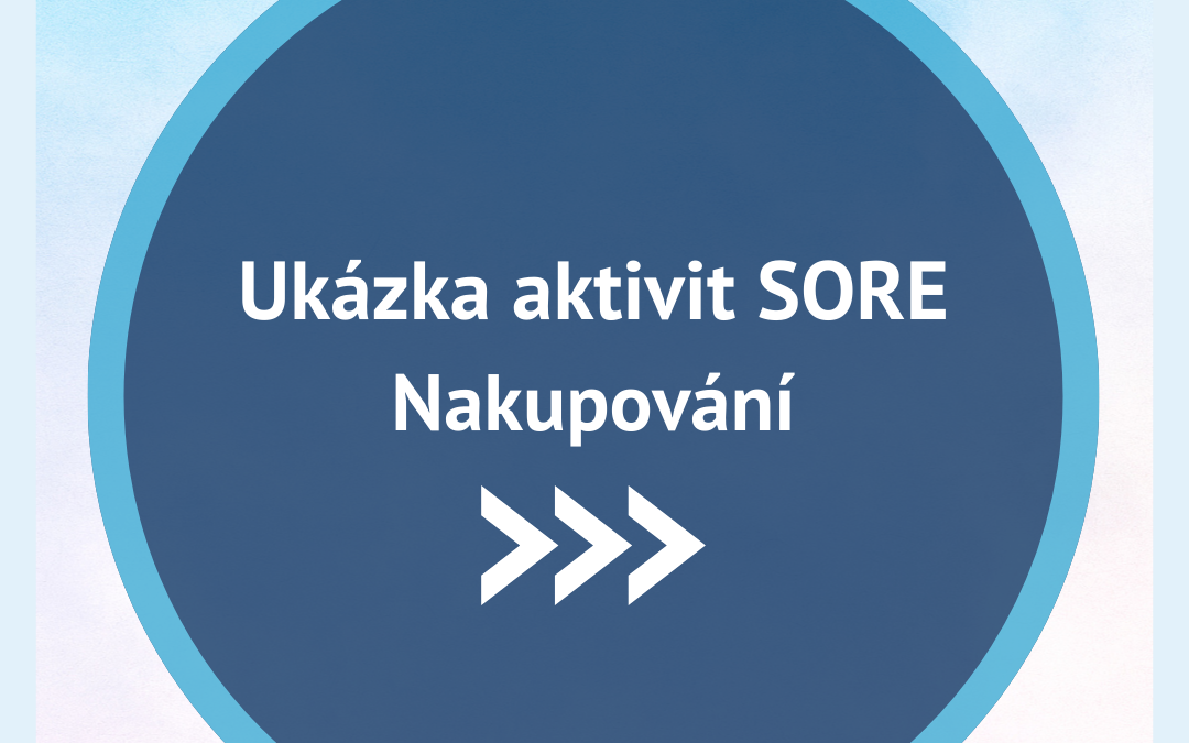 Ukázka aktivit SORE – Nakupování