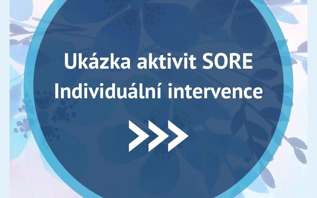 Ukázka aktivit SORE – Individuální intervence