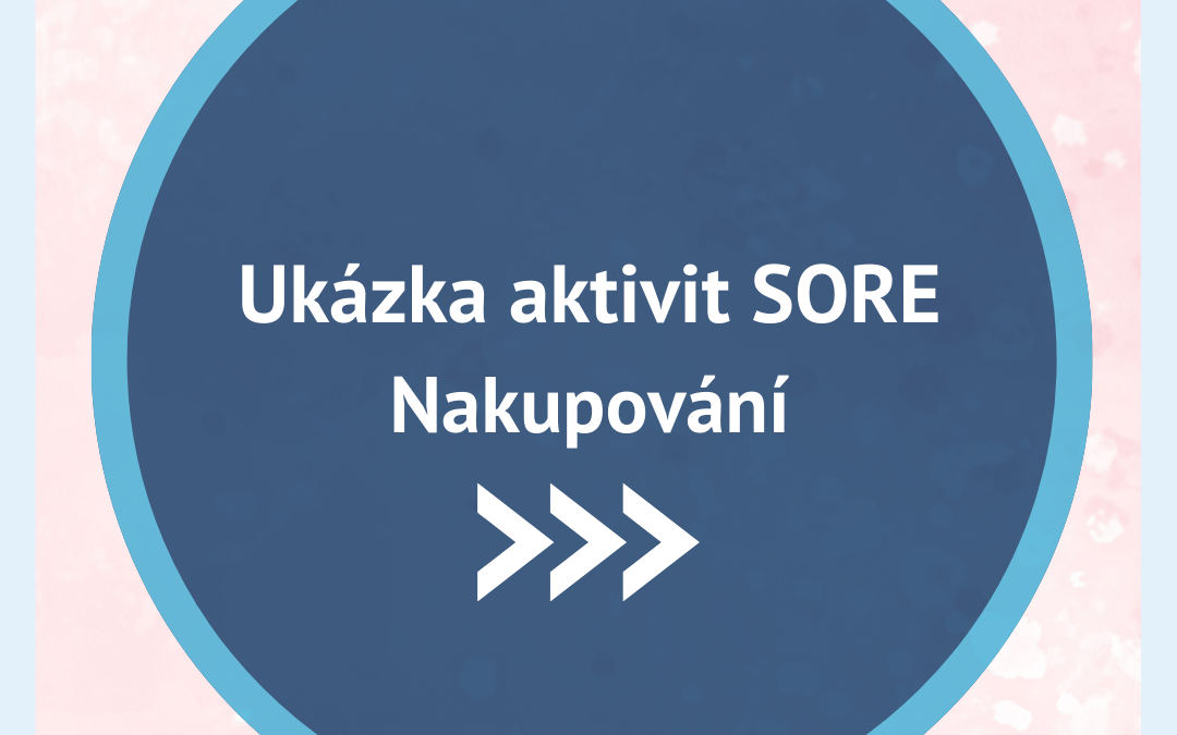 Ukázka aktivit SORE – Nakupování