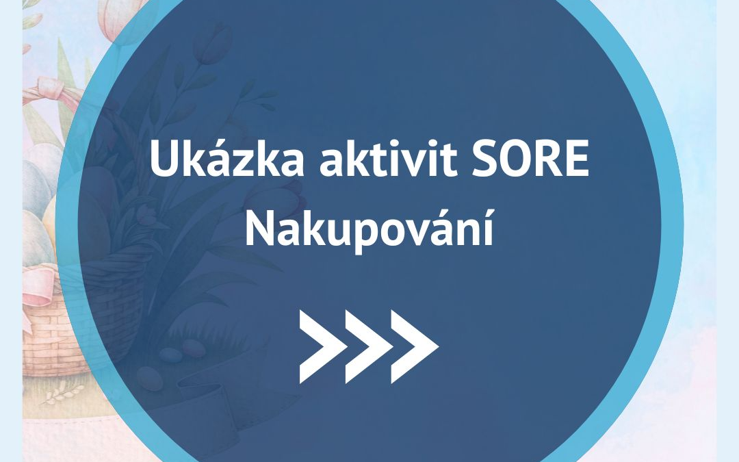 Ukázka aktivit SORE – Nakupování