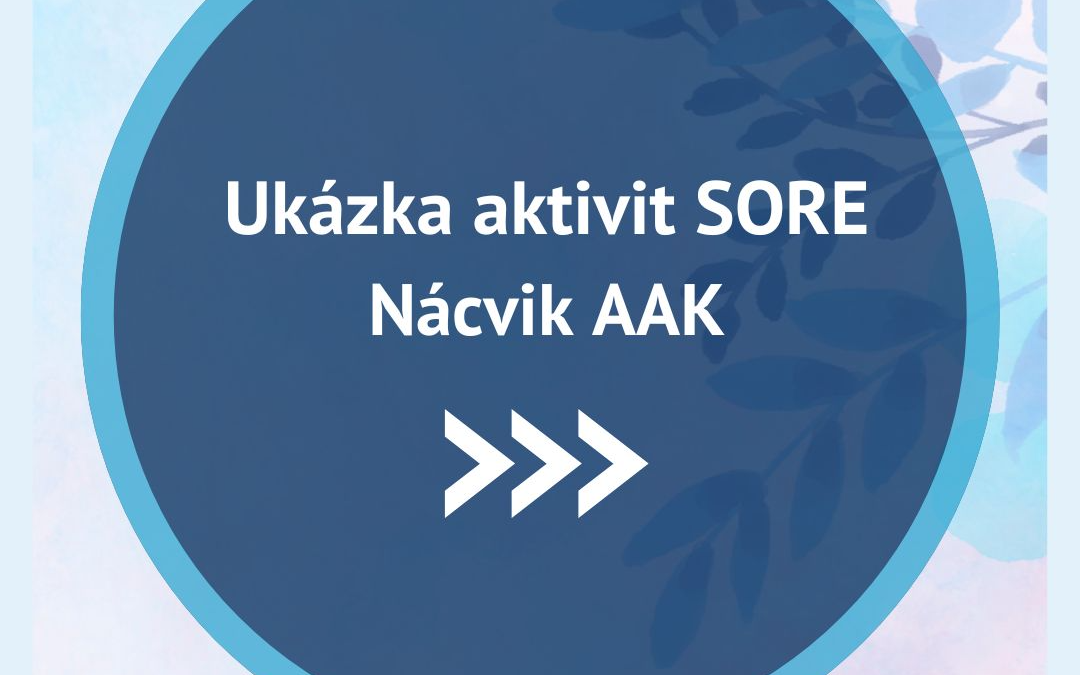 Ukázka aktivit SORE – AAK