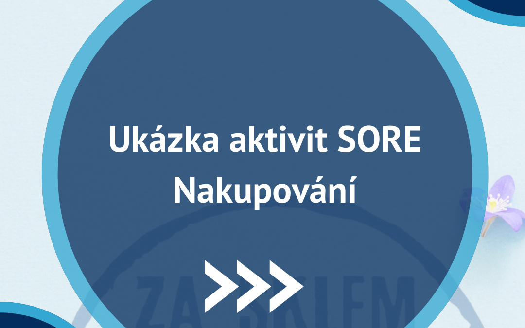 Ukázka aktivit SORE – Nakupování