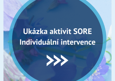 Ukázka aktivit SORE – Individuální intervence