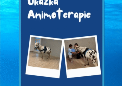 Ukázka Animoterapie